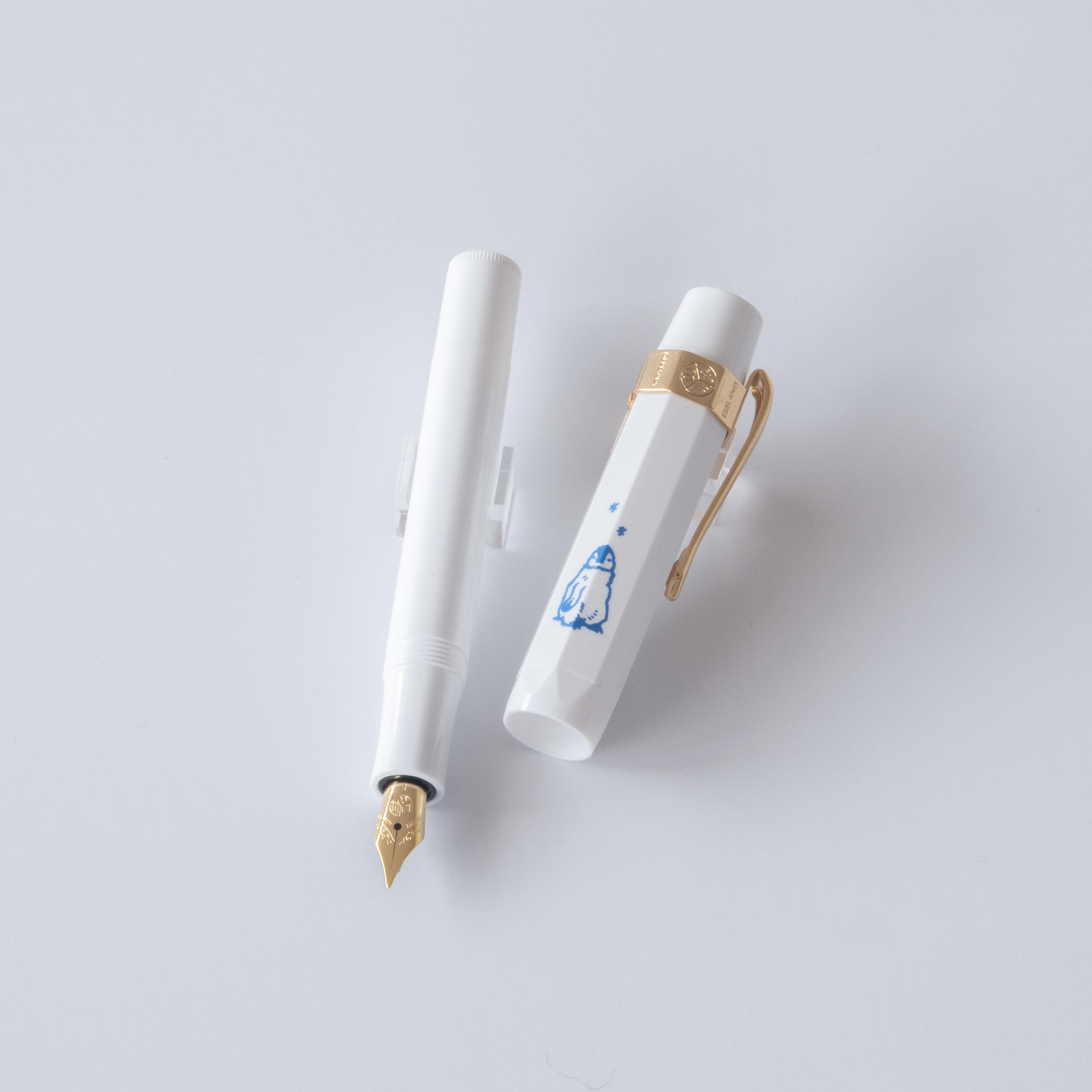 【先行予約特典つき】代官山 蔦屋書店 限定　Kaweco Sport（カヴェコスポーツ）コウテイペンギン 万年筆インクセット