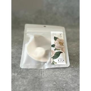 京都府立植物園 アロマストーン タイサンボク