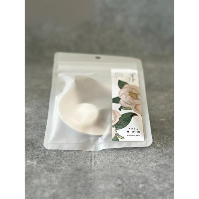 京都府立植物園 アロマストーン タイサンボク