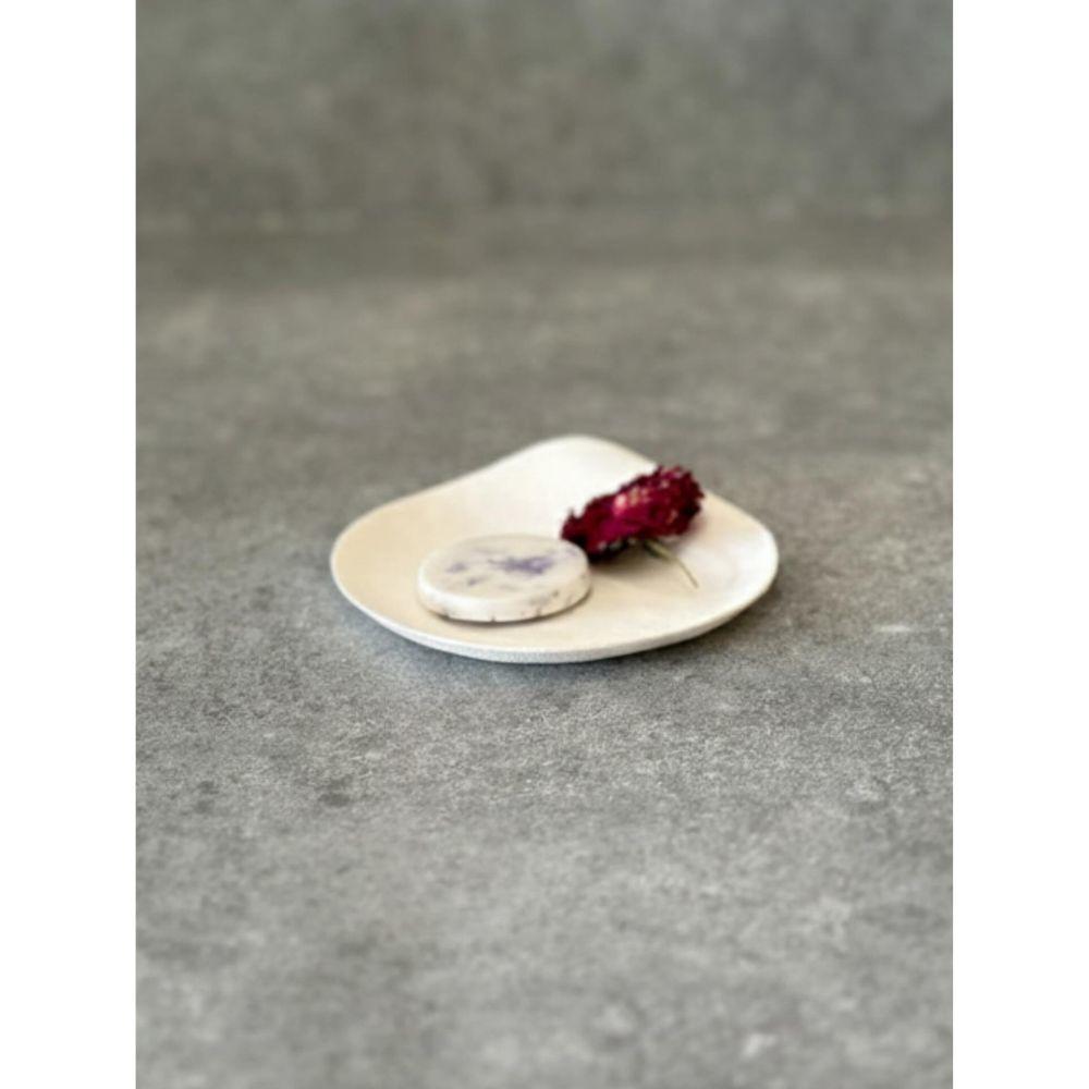 京都府立植物園 アロマストーン 薔薇