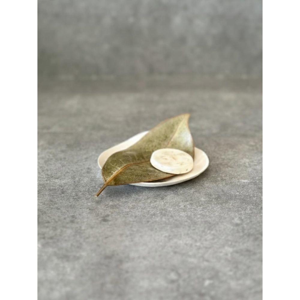 京都府立植物園 アロマストーン タイサンボク