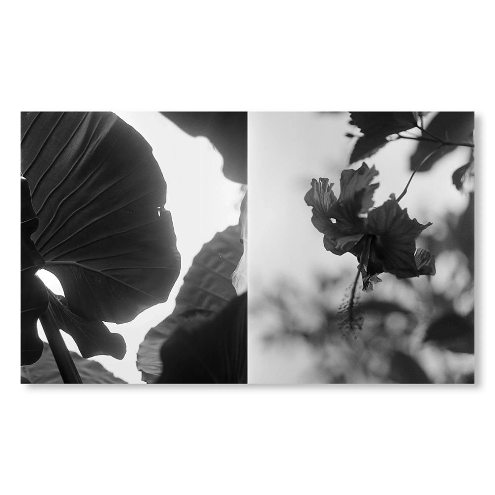 【Pierrot(ピエロ)作品集】RUMAH RUBAH - A BALI HOME OF GILDAS LOAEC AND ROMY LOAEC - by Pierrot