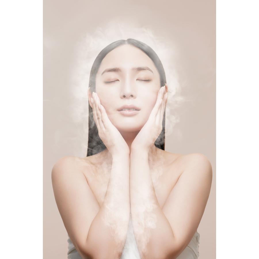 FESTINO(フェスティノ) フェイシャル クレンジング ナノスチーマー　SBEG 