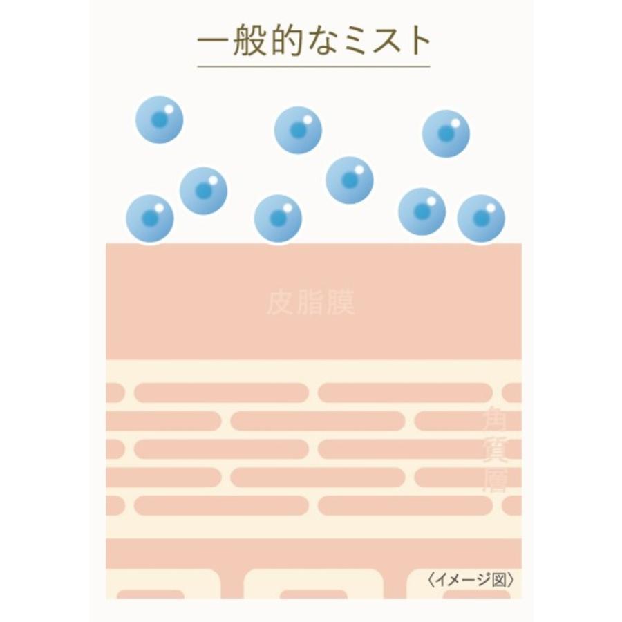 FESTINO(フェスティノ) フェイシャル クレンジング ナノスチーマー　SBEG 