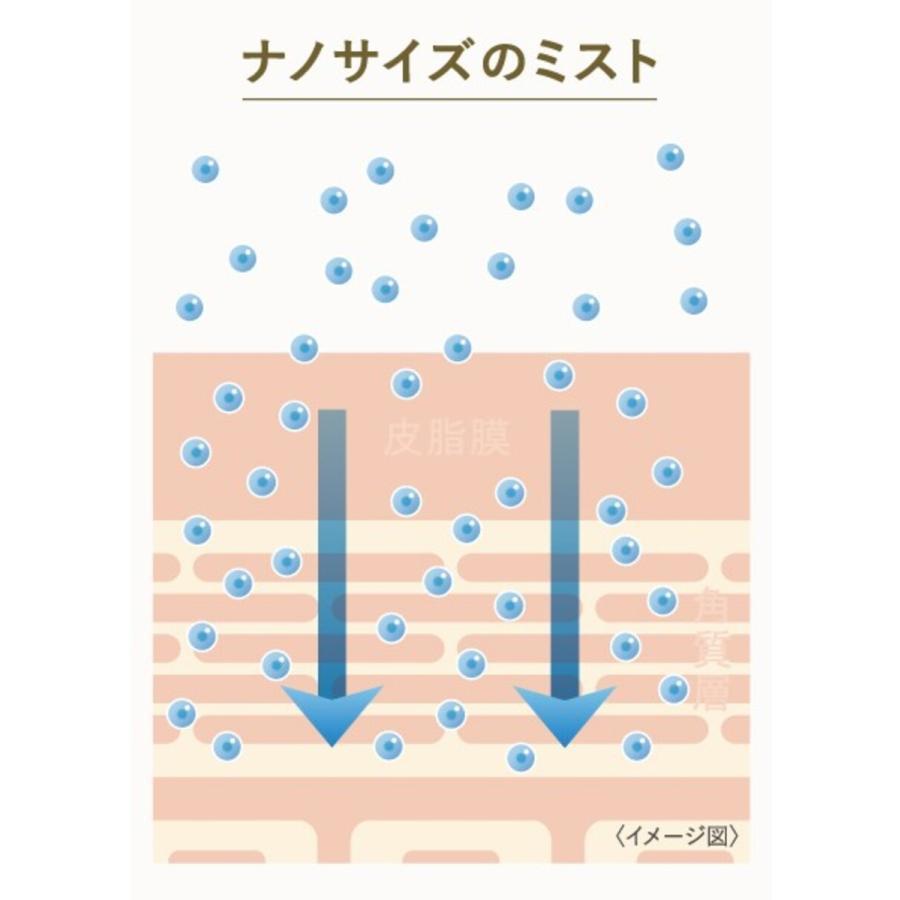 FESTINO(フェスティノ) フェイシャル クレンジング ナノスチーマー　SBEG 