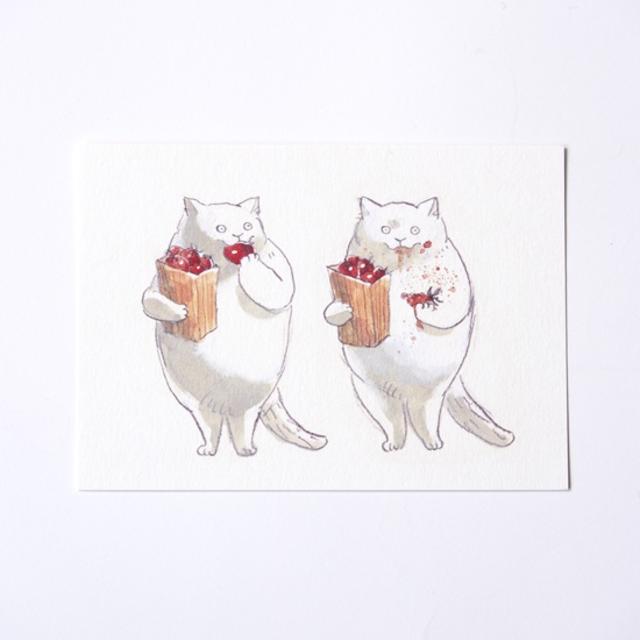 【黒山 Kathy Lam】カード Tomato Squish