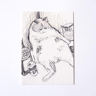 【黒山 Kathy Lam】カード Drunk Cat