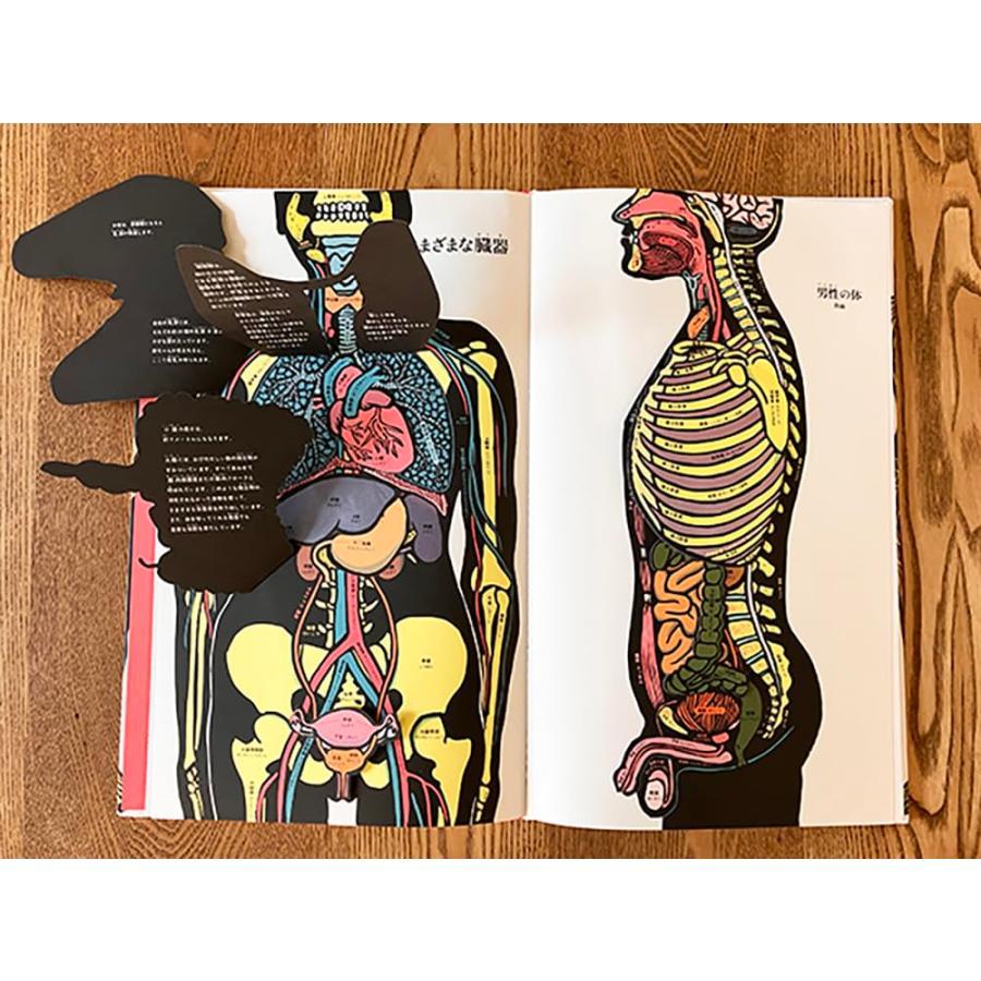 『めくれる！しかけ図鑑絵本 にんげんのからだ』ジョエル・ジョリヴェ (イラスト), 稲葉俊郎 (監修)アノニマ・スタジオ
