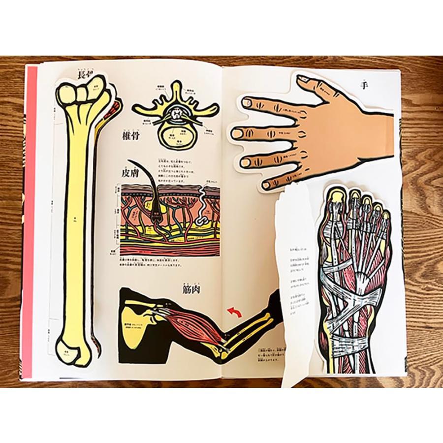 『めくれる！しかけ図鑑絵本 にんげんのからだ』ジョエル・ジョリヴェ (イラスト), 稲葉俊郎 (監修)アノニマ・スタジオ