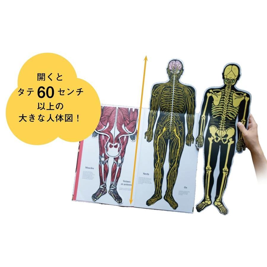 『めくれる！しかけ図鑑絵本 にんげんのからだ』ジョエル・ジョリヴェ (イラスト), 稲葉俊郎 (監修)アノニマ・スタジオ