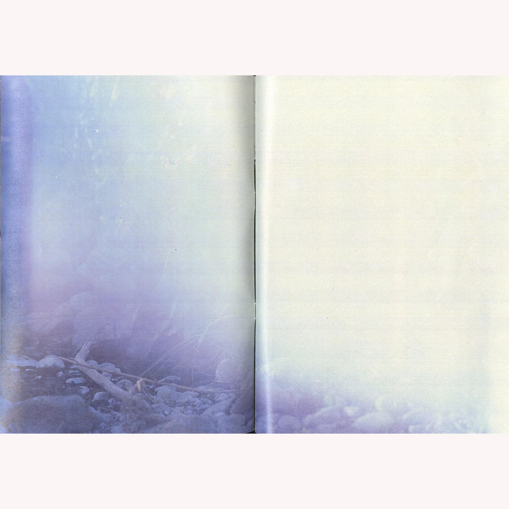 『植物、多摩川中流域、冬』 横田大輔　写真集