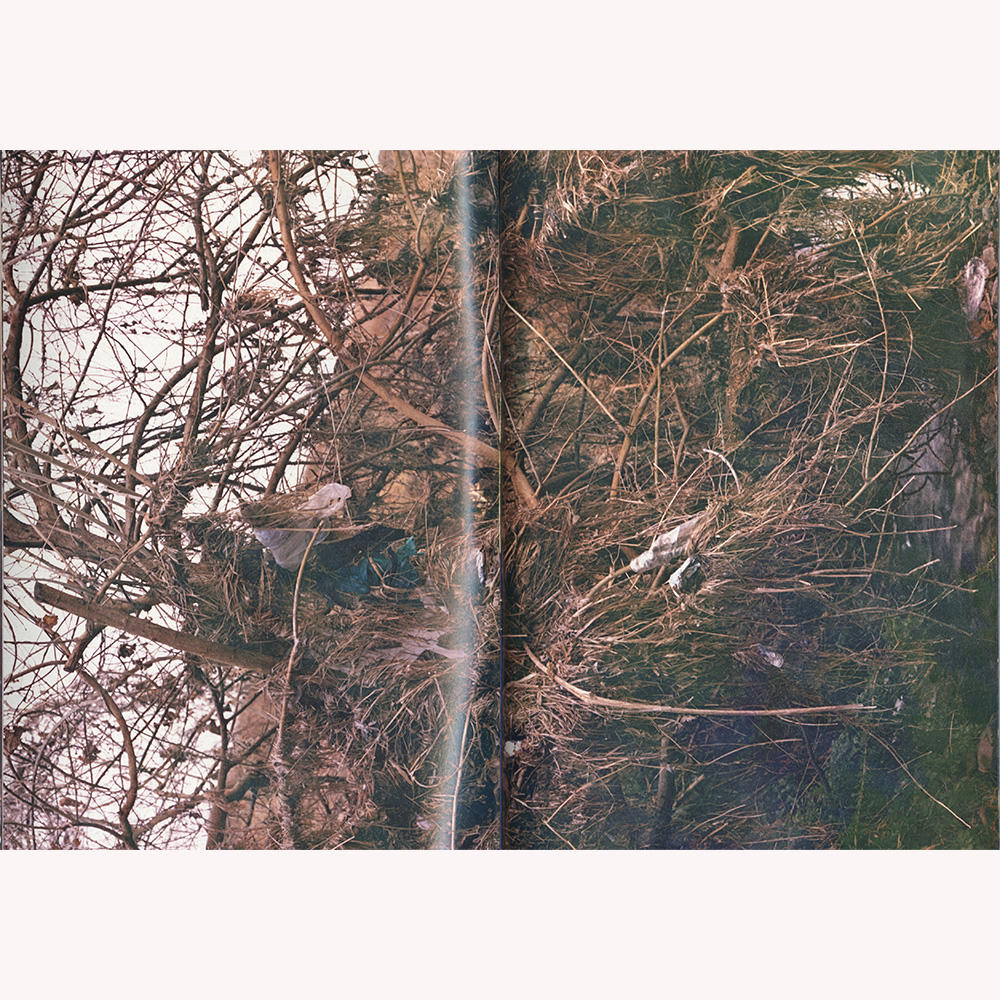 『植物、多摩川中流域、冬』 横田大輔　写真集