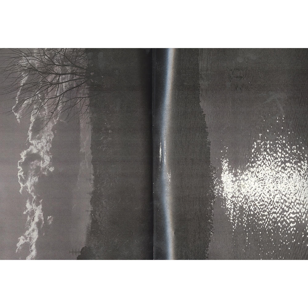 『植物、多摩川中流域、冬』 横田大輔　写真集