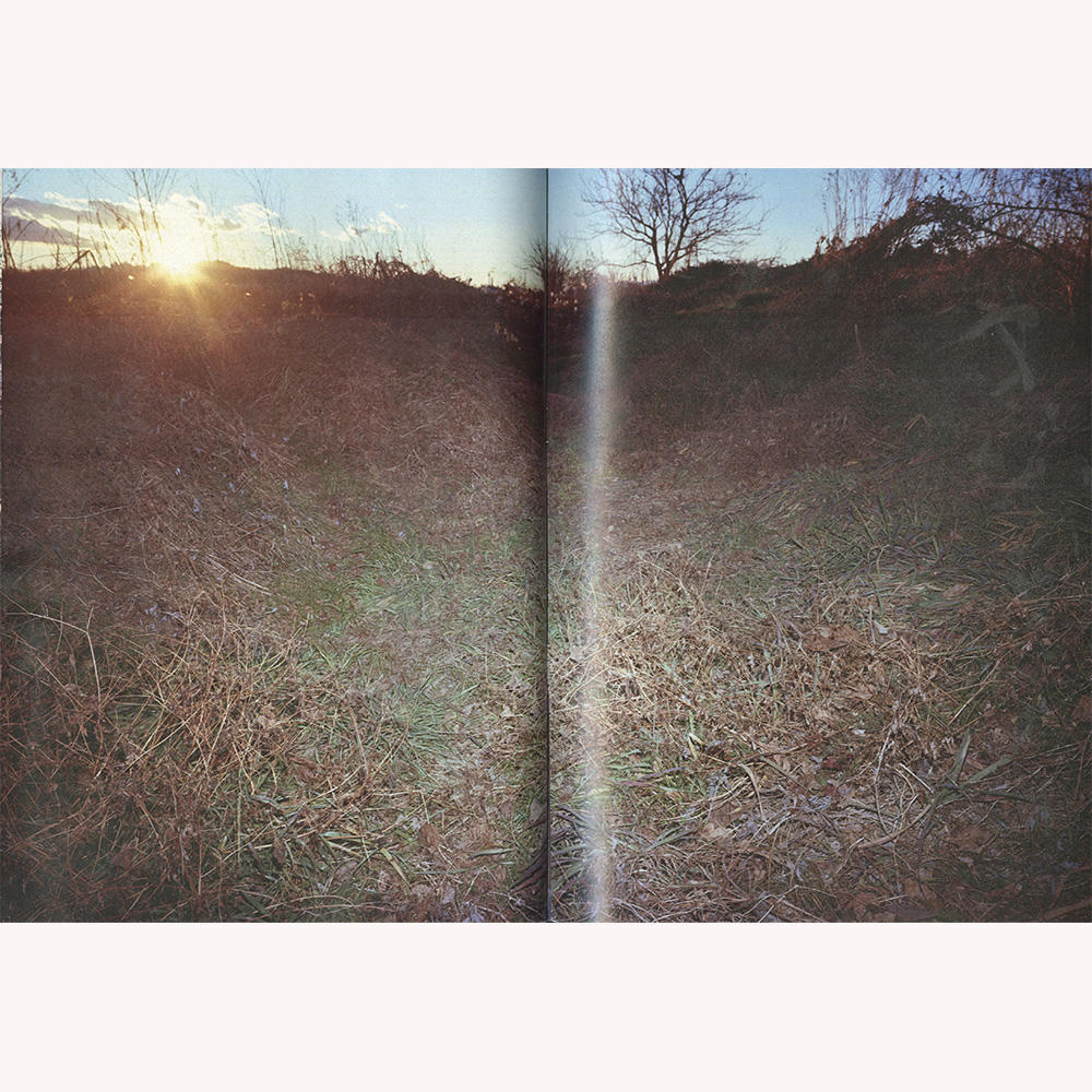 『植物、多摩川中流域、冬』 横田大輔　写真集