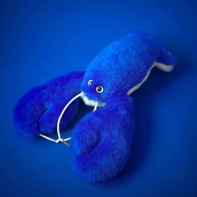 【光線】Lobster Blue