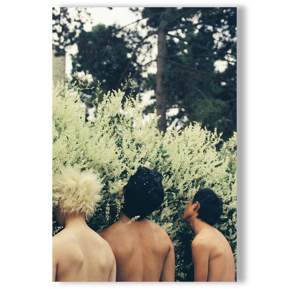 【限定800部／ナンバー入】Amour Defendu（禁色） by Lin Zhipeng（リン・チーペン）aka No.223 写真集