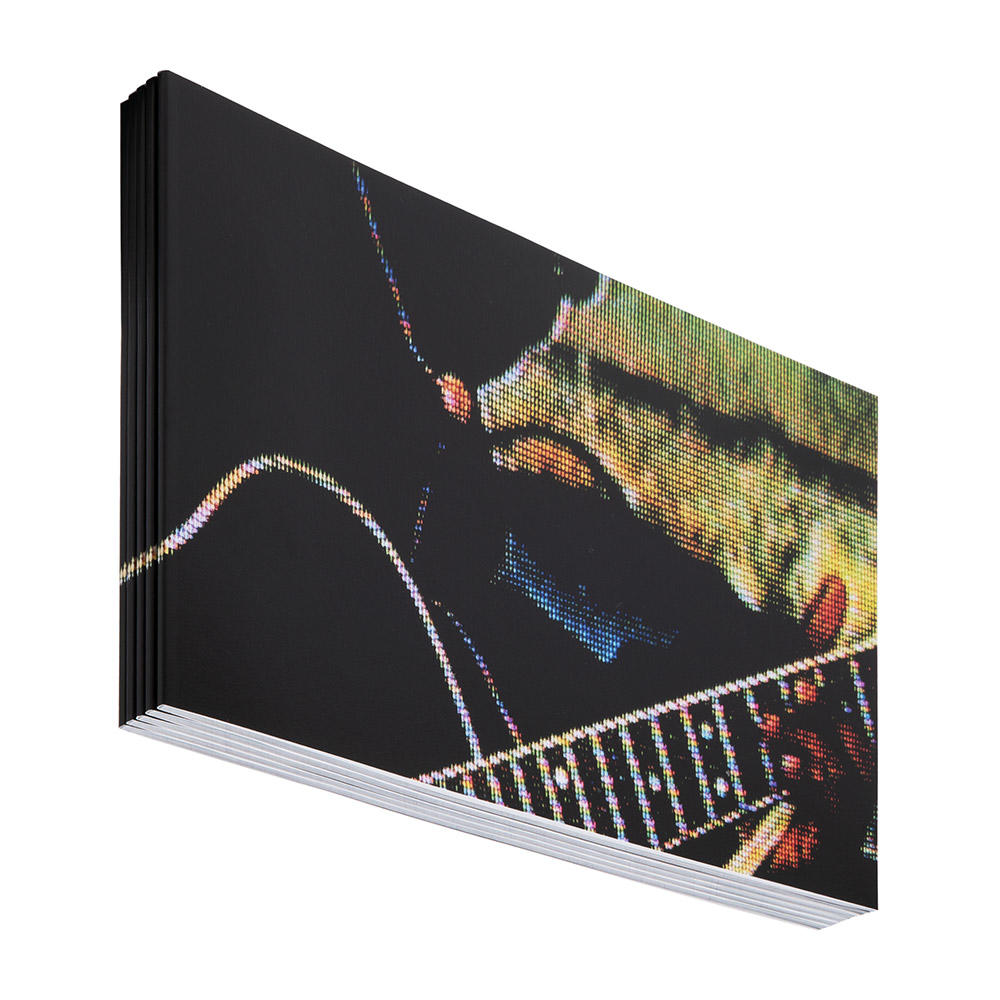 【300部限定】SETTING TRAPS by Jessica Canje LA Timpa　写真集