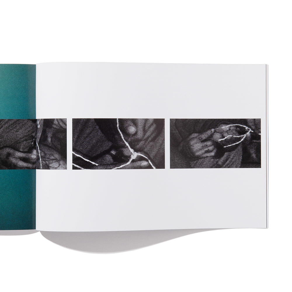 【300部限定】SETTING TRAPS by Jessica Canje LA Timpa　写真集