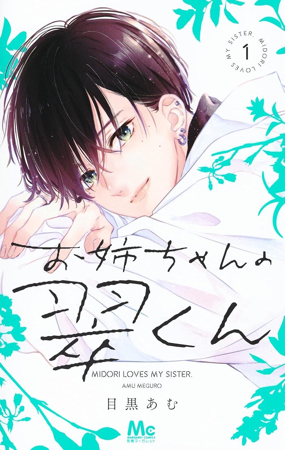 (全巻セット) お姉ちゃんの翠くん １～１０巻 最新１０巻 目黒あむ