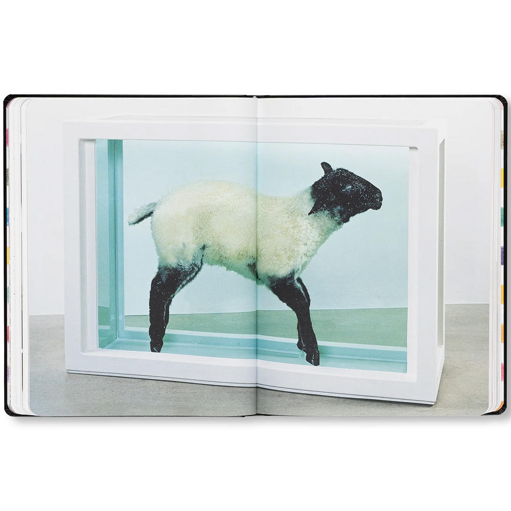 DAMIEN HIRST - DRAWINGS by Damien Hirst（ダミアン・ハースト） 作品集