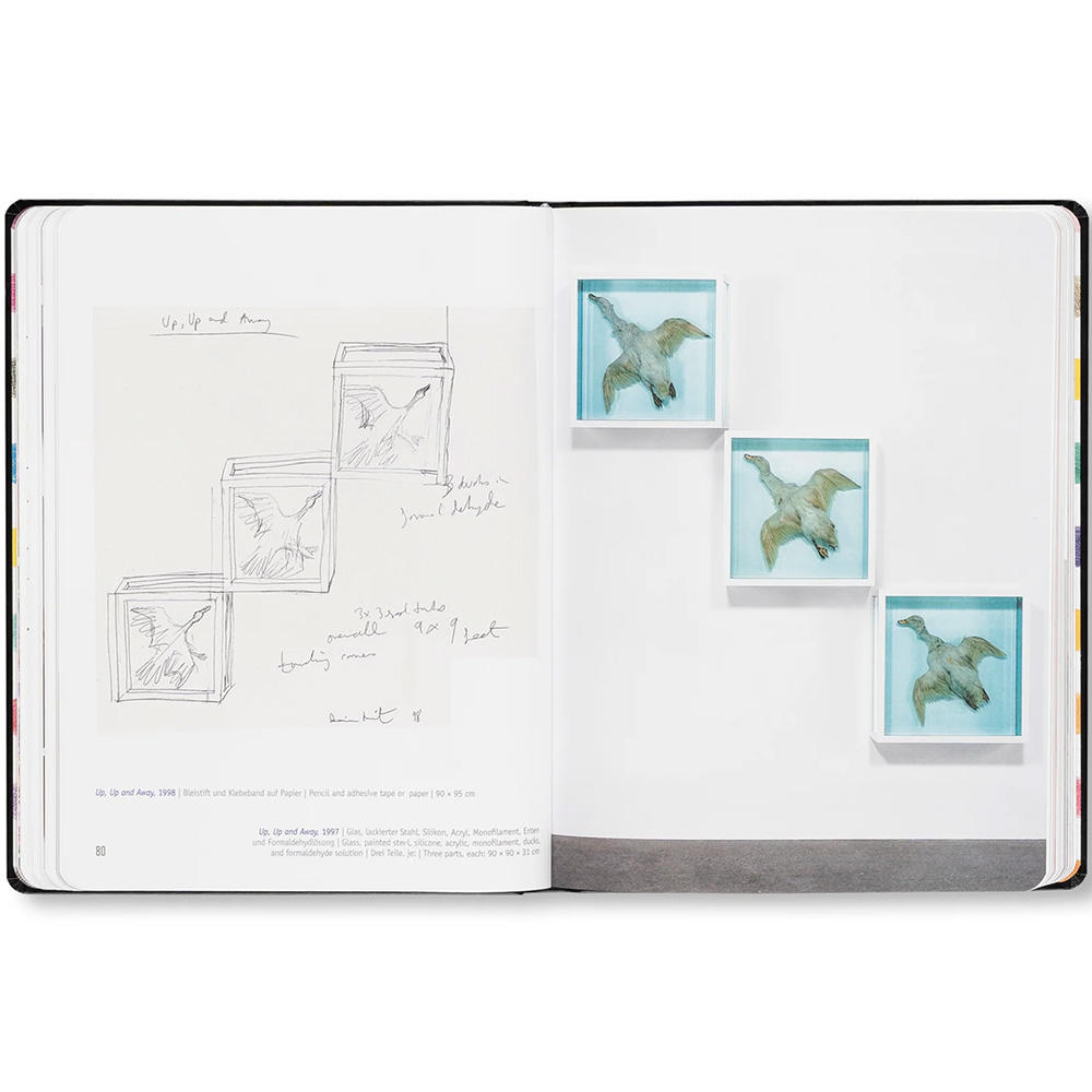 DAMIEN HIRST - DRAWINGS by Damien Hirst（ダミアン・ハースト） 作品集