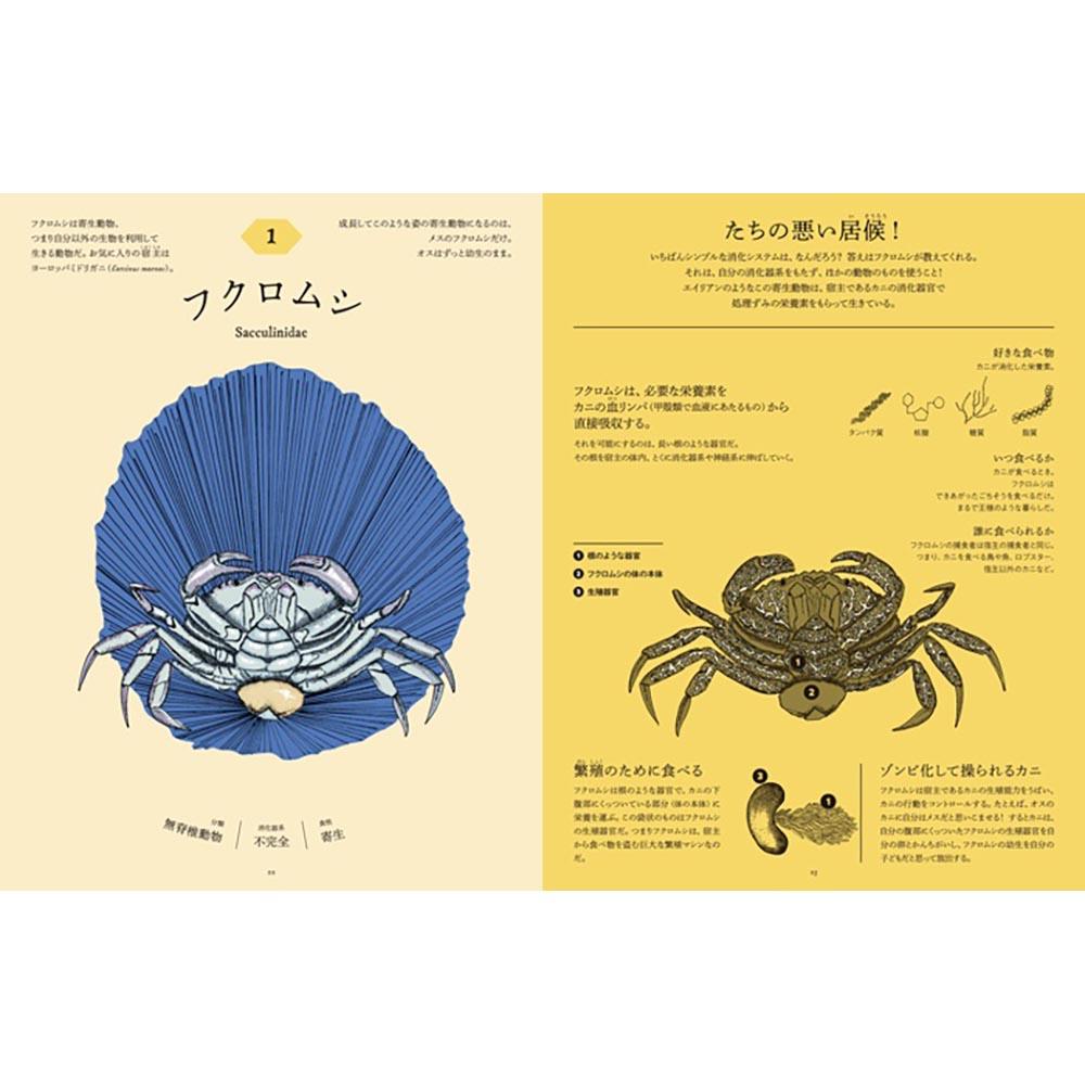 食べた後どうなっているのか図鑑　動物の消化器の秘密