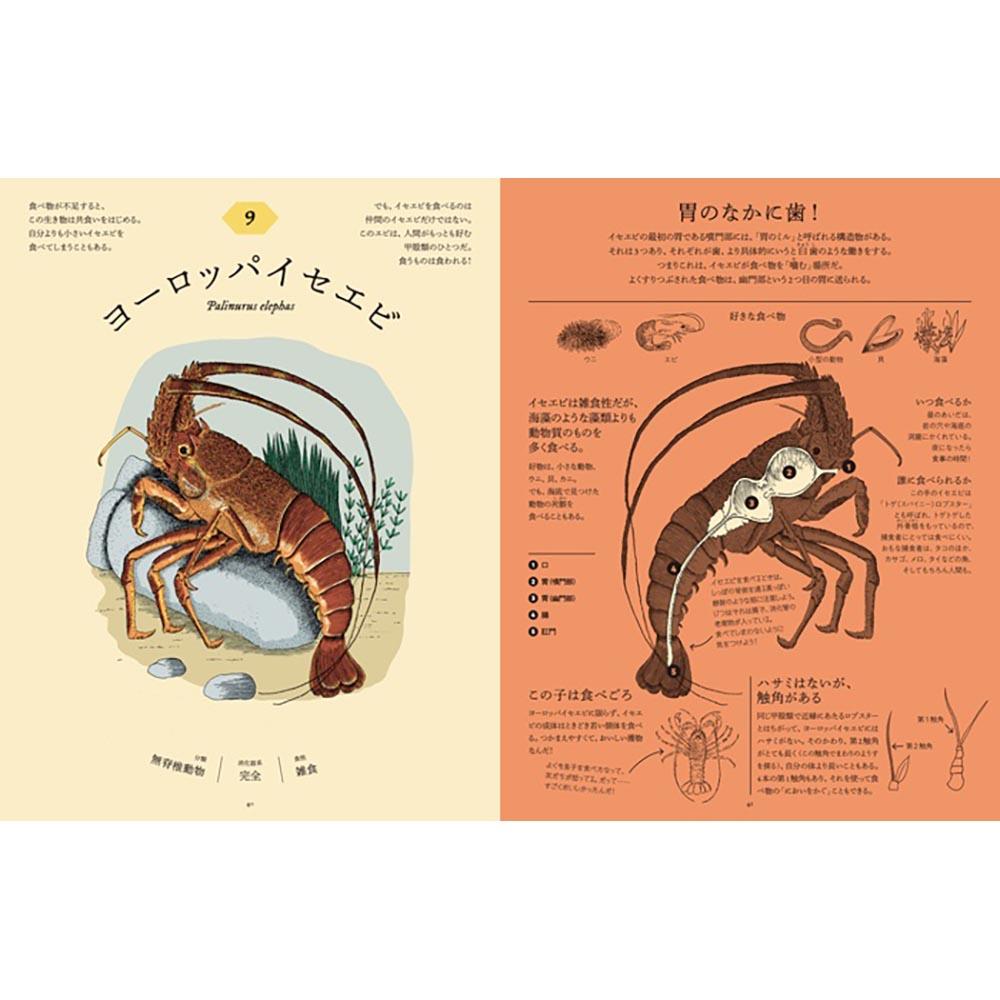 食べた後どうなっているのか図鑑　動物の消化器の秘密