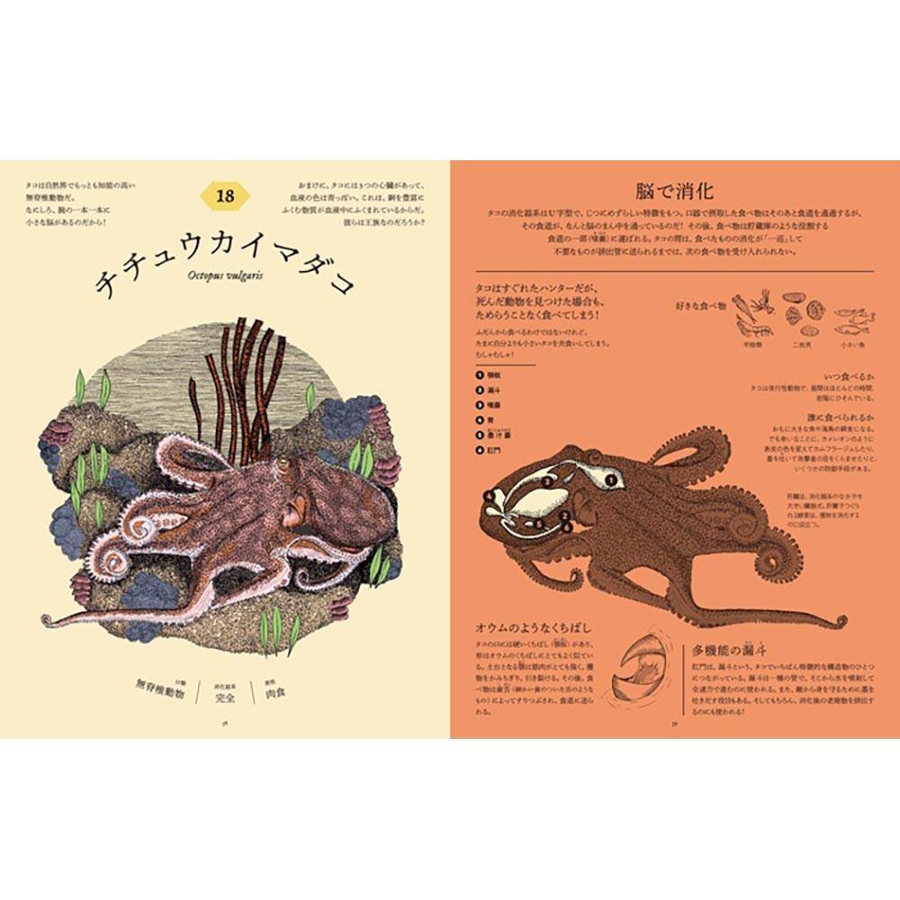 食べた後どうなっているのか図鑑　動物の消化器の秘密