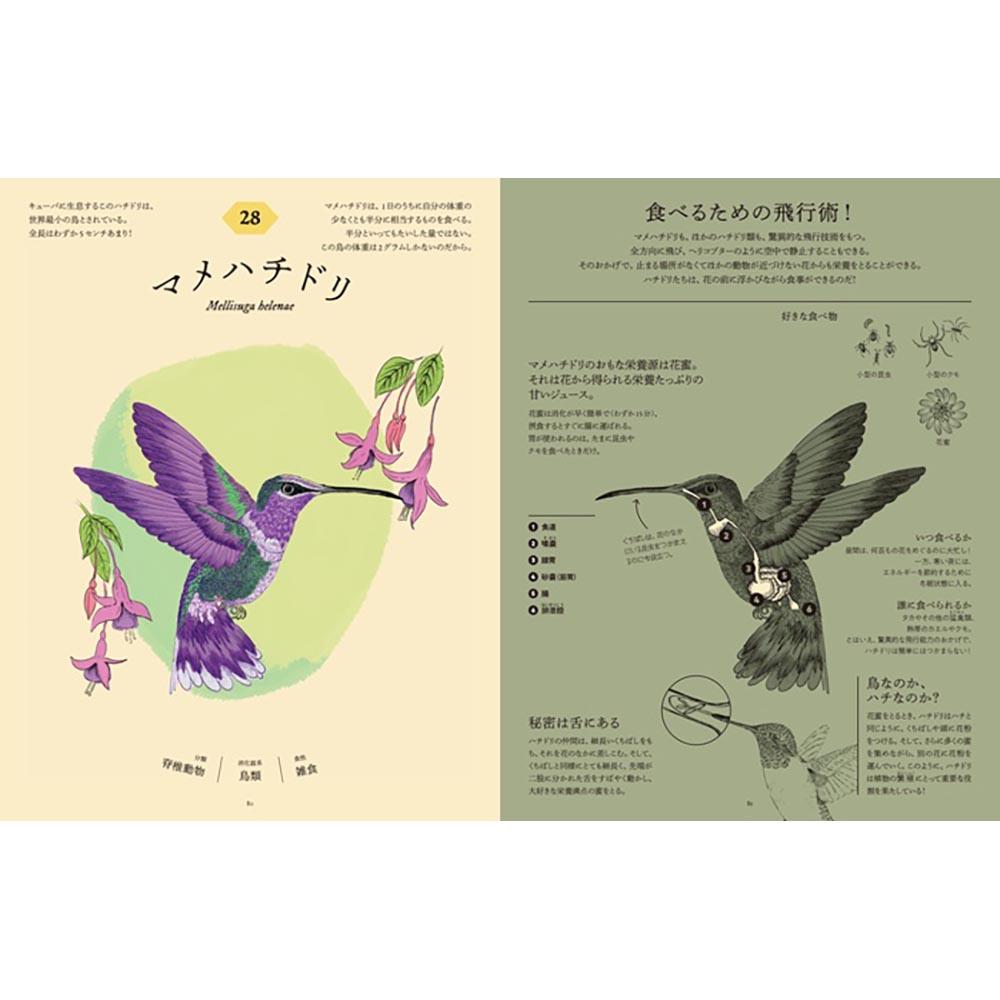 食べた後どうなっているのか図鑑　動物の消化器の秘密