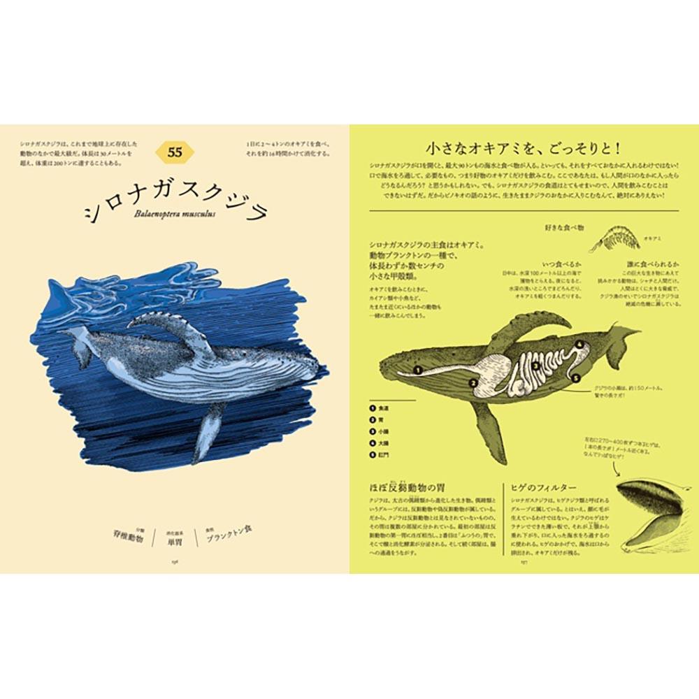 食べた後どうなっているのか図鑑　動物の消化器の秘密