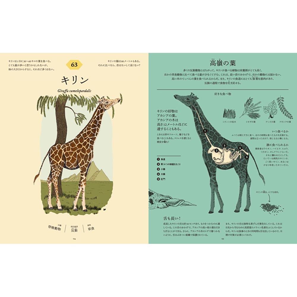 食べた後どうなっているのか図鑑　動物の消化器の秘密