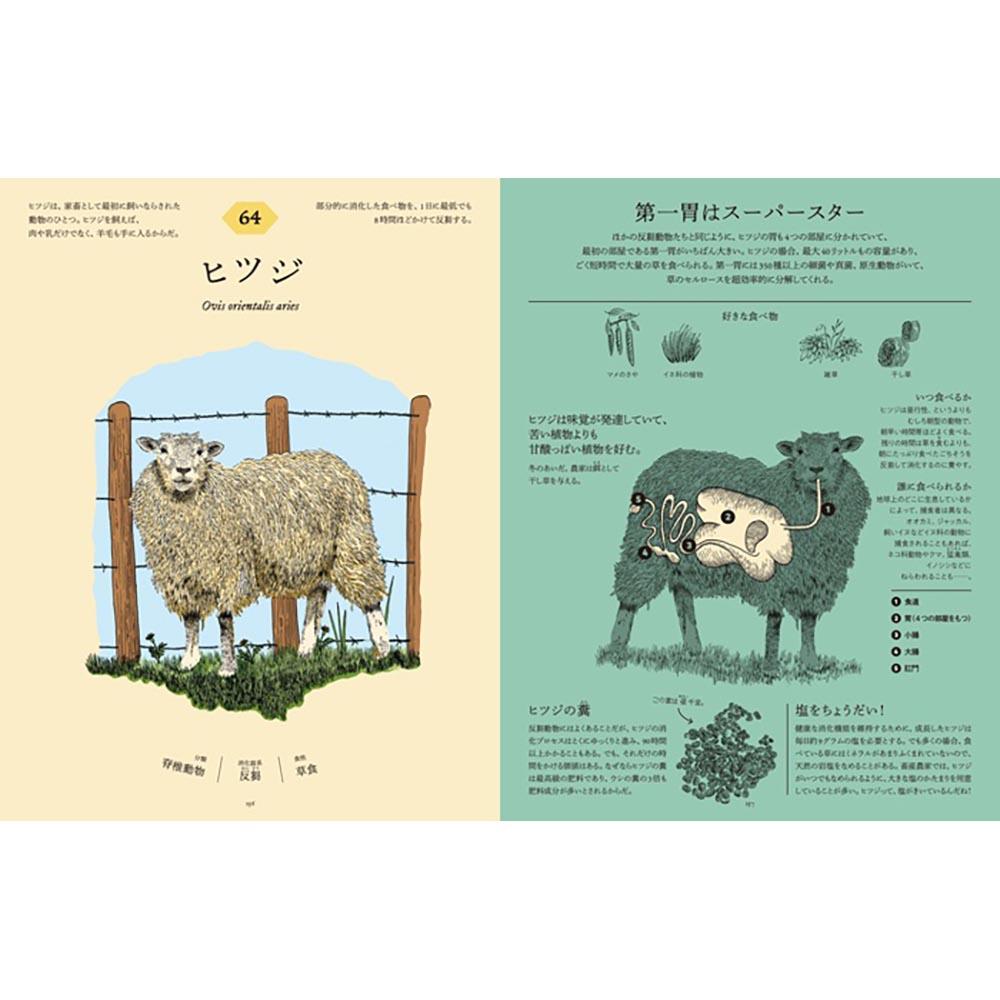 食べた後どうなっているのか図鑑　動物の消化器の秘密