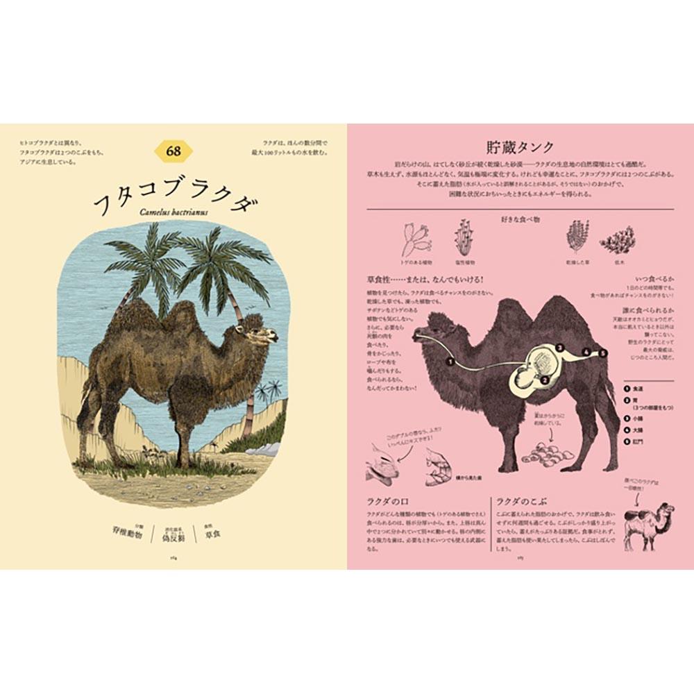 食べた後どうなっているのか図鑑　動物の消化器の秘密