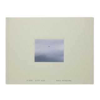 A Bird / Blast #130 畠山直哉 写真集