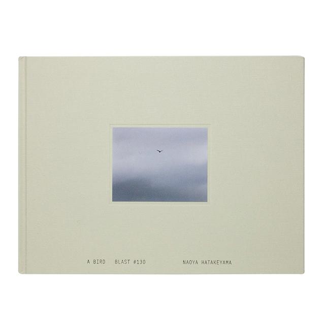 A Bird / Blast #130 畠山直哉 写真集