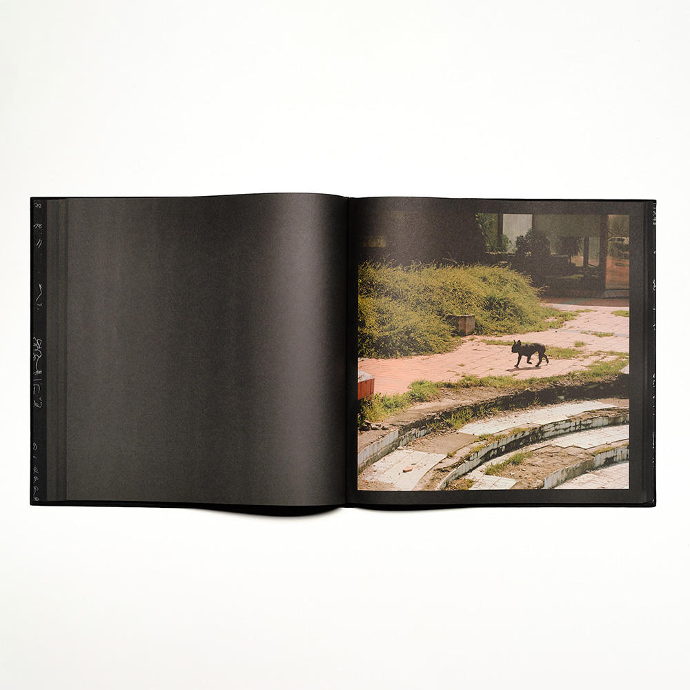 The Tower by Xiaofu Wang 写真集