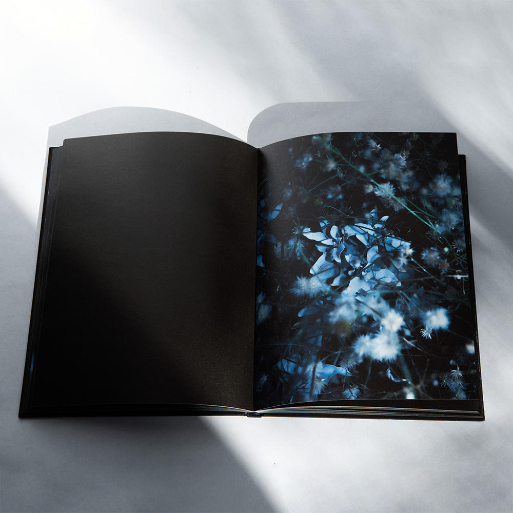 NACHTMEER by Cornelia Pierce 写真集