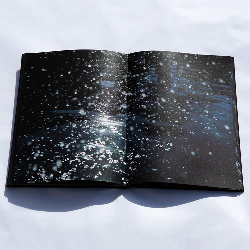 NACHTMEER by Cornelia Pierce 写真集