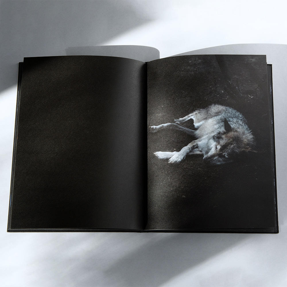 NACHTMEER by Cornelia Pierce 写真集