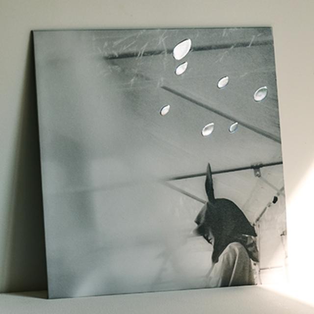 (アナログ) 日比谷野音の小沢健二 オフィシャル海賊盤 小沢健二