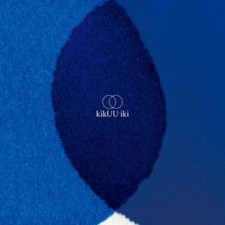 (アナログ) サカナクション kiKUUiki 完全生産限定盤 ２LP 180g重量盤 レコード