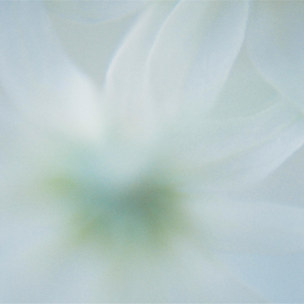 【蔦屋書店感謝祭_202602】HAA for rest 間の香 ロールオンアロマ 02 + 蔦屋書店限定ノベルティ「HAAオリジナルブックポーチ」