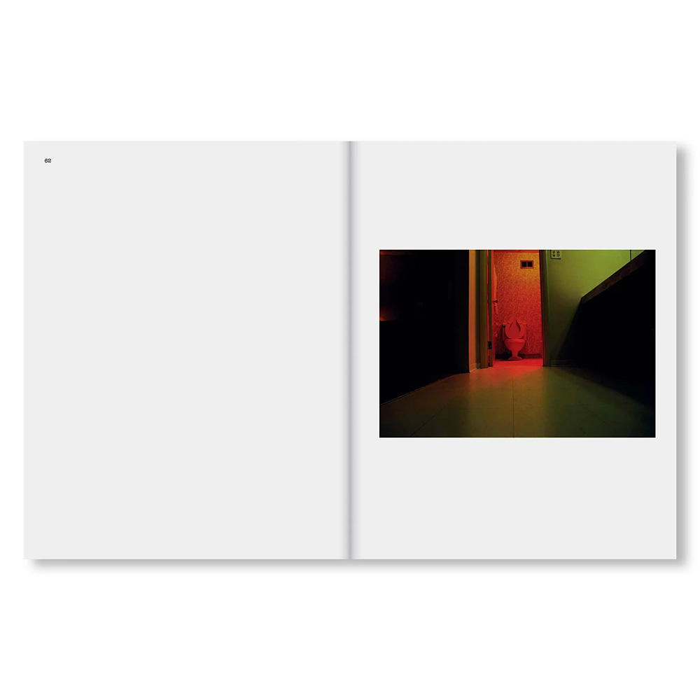 THE LAST DYES by William Eggleston（ウィリアム・エグルストン） 写真集