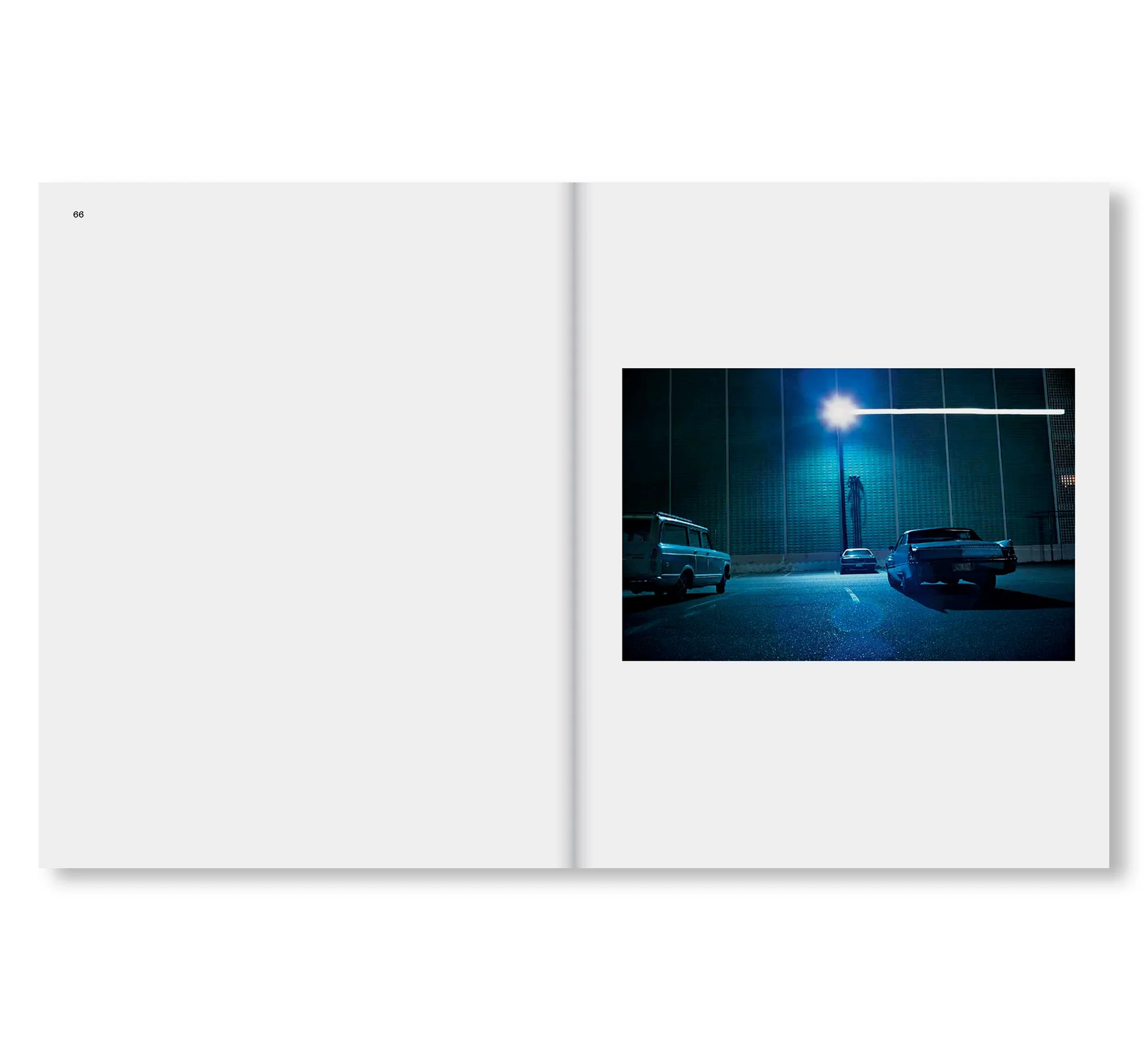 THE LAST DYES by William Eggleston（ウィリアム・エグルストン） 写真集