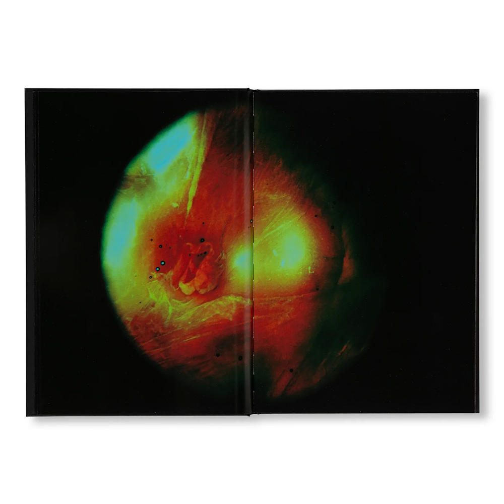 MY BLOODY HAND by Momo Okabe（岡部桃）　写真集