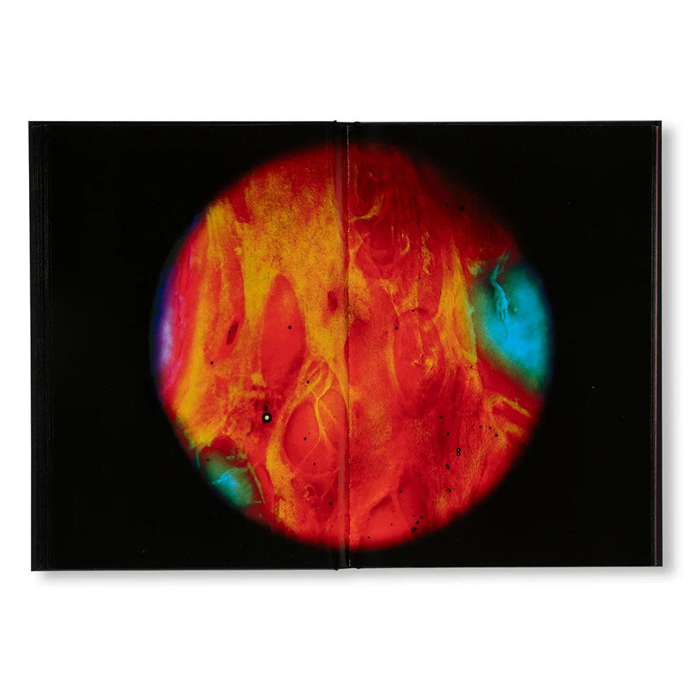 MY BLOODY HAND by Momo Okabe（岡部桃）　写真集