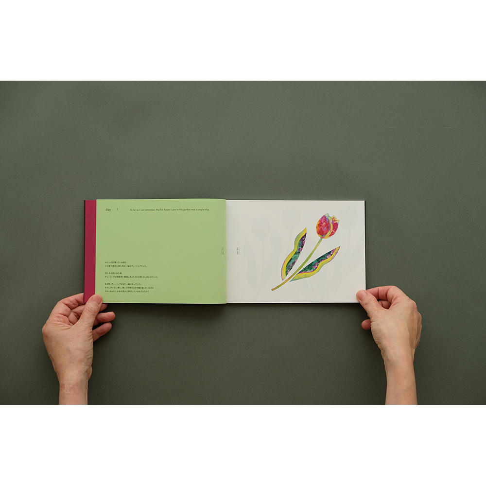 【青山希望・作品集】The Garden of Reverie - Art Book