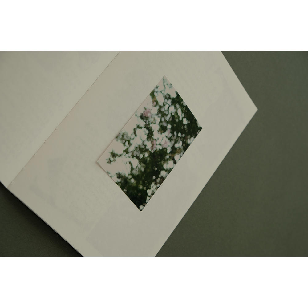 【青山希望・ZINE】交換日記①