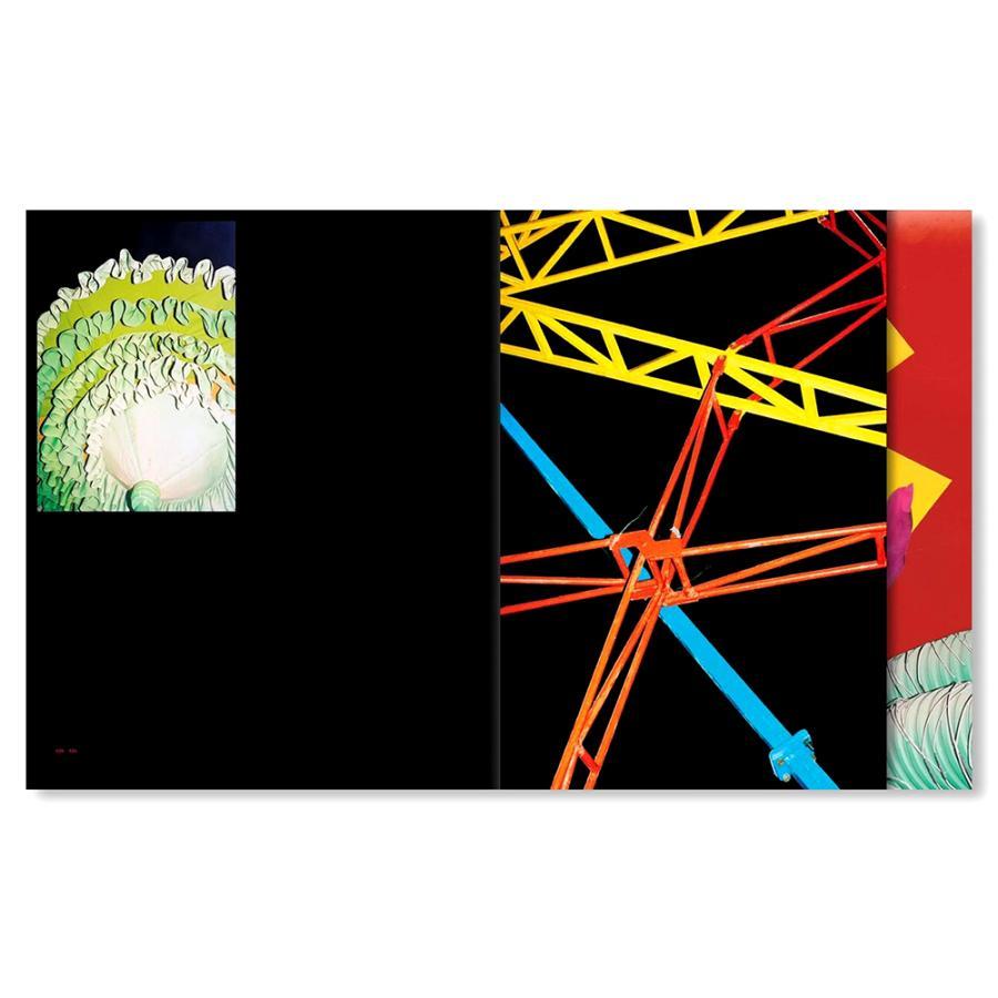 【サイン入】AFTERLIFE ヴァサンカ・ヨガナンタ　作品集