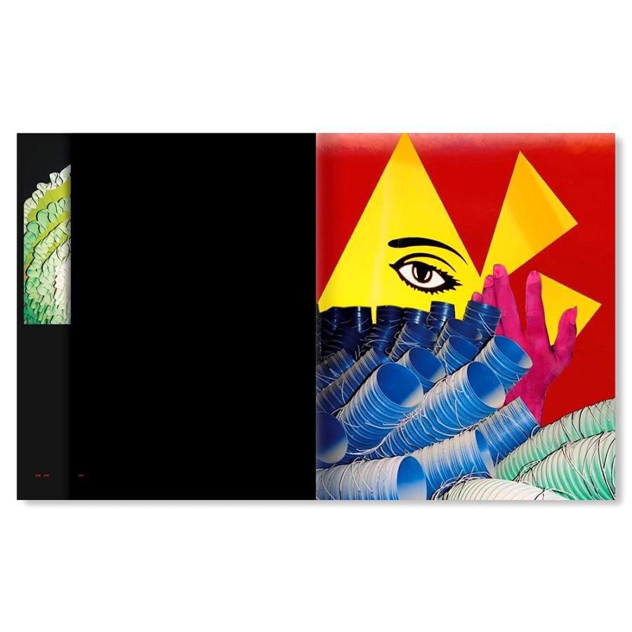 【サイン入】AFTERLIFE ヴァサンカ・ヨガナンタ　作品集